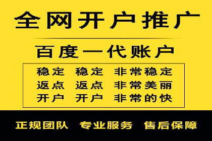 百度竞价与搜索引擎优化（SEO）的协同效应案例